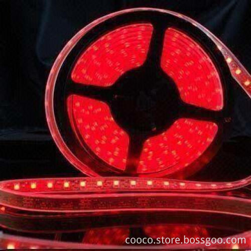 SMD 5050 Flexible LED Strip with 12 or 24V DC Working Voltage and 60mA/LED Maximum Current